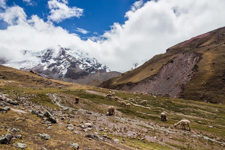 Hiking Peru's Rainbow Mountain (Vinicunca): High-Altitude Day Trek from Cusco photo 6