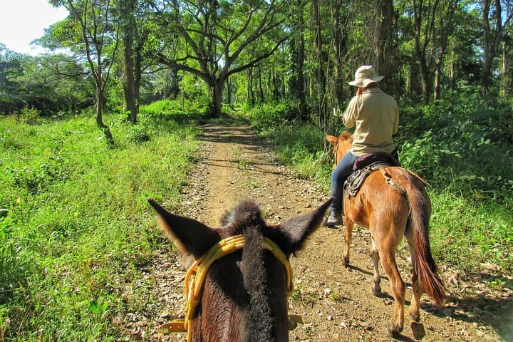 Horseback Riding in San Basilio de Palenque — Day Trip from Cartagena photo 2