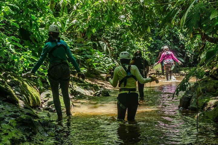Canyoning Jungle Adventure: Zipline, Rappelling & 52‑ft Tarzan Swing Near Puerto Viejo photo 3