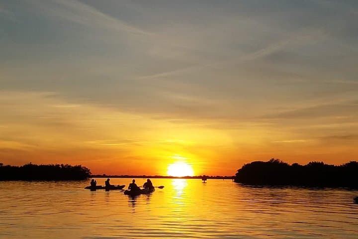 Sunset Kayak Mangrove Tunnels: Search for Dolphins & Manatees in Cocoa Beach photo 4