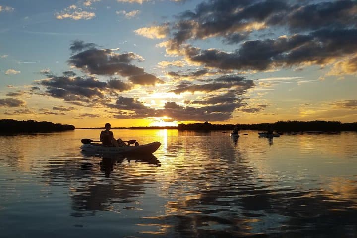 Sunset Kayak Mangrove Tunnels: Search for Dolphins & Manatees in Cocoa Beach photo 6