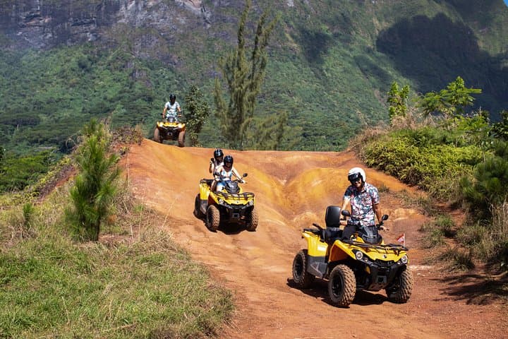 Moorea ATV Adventure: Pineapple Trails, Belvedere Lookout, and Opunohu Bay photo 2