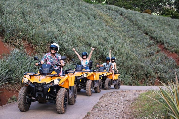 Moorea ATV Adventure: Pineapple Trails, Belvedere Lookout, and Opunohu Bay photo 3