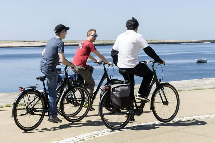 Private Porto E-Bike Tour: Riverside, Beaches & Parks (3 Hours) photo 2