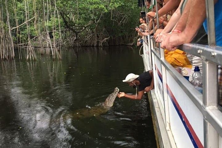 Black River Safari: Montego Bay Day Trip to Jamaica’s Crocodile River