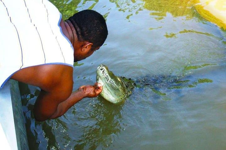 Black River Safari: Montego Bay Day Trip to Jamaica’s Crocodile River photo 2