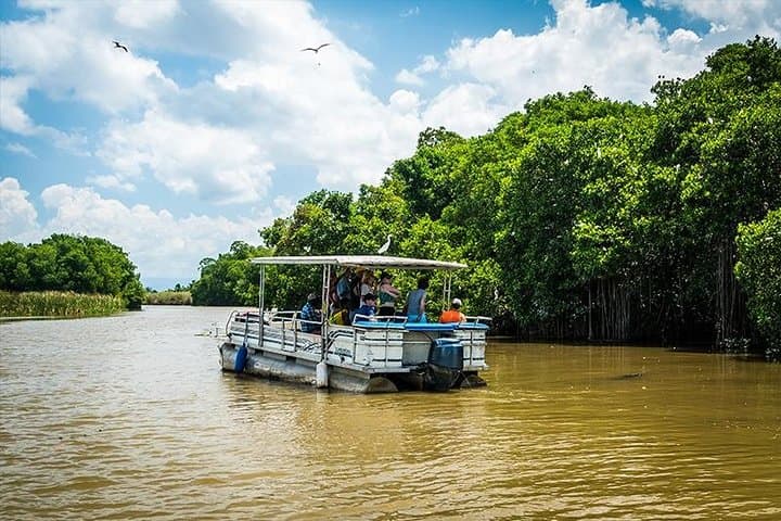 Black River Safari: Montego Bay Day Trip to Jamaica’s Crocodile River photo 4