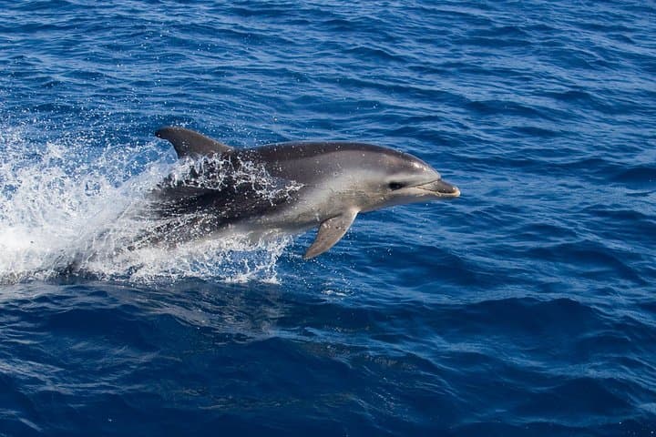Wineglass Bay Cruise from Coles Bay — Freycinet Peninsula Eco Cruise photo 3