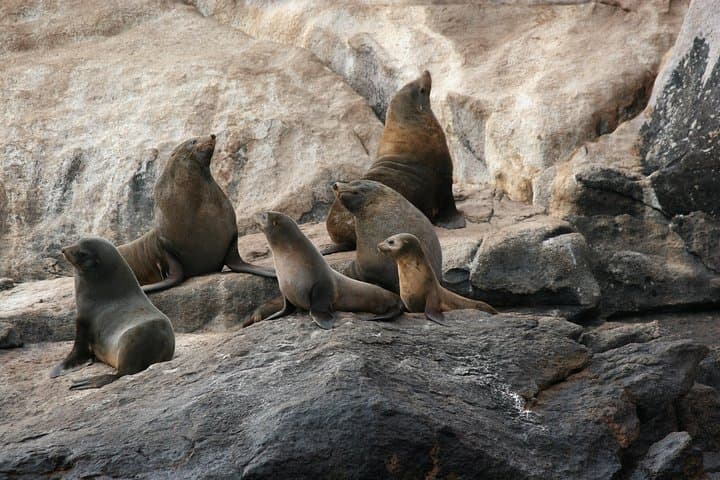 Wineglass Bay Cruise from Coles Bay — Freycinet Peninsula Eco Cruise photo 4
