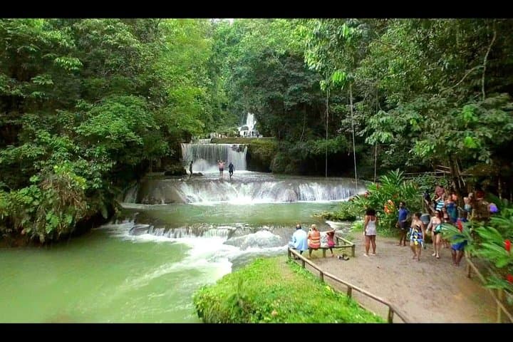 YS Falls and Appleton Estate Combo: Waterfalls, Cane Fields & Rum Tasting from Montego Bay photo 6