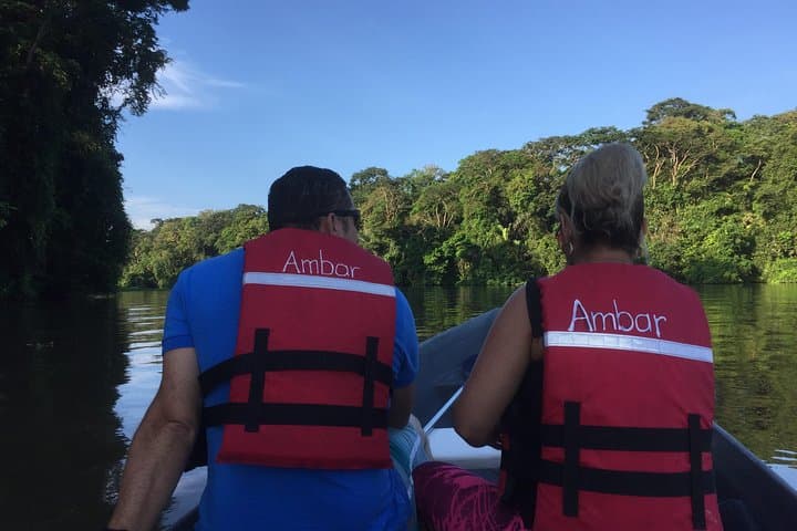 Tortuguero Canoe Tour: Early-Morning Wildlife Canal Paddle in Costa Rica