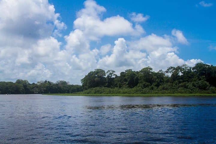 Tortuguero Canoe Tour: Early-Morning Wildlife Canal Paddle in Costa Rica photo 6