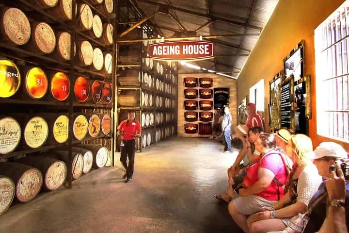 YS Falls and Appleton Estate Combo: Waterfalls, Cane Fields & Rum Tasting from Montego Bay