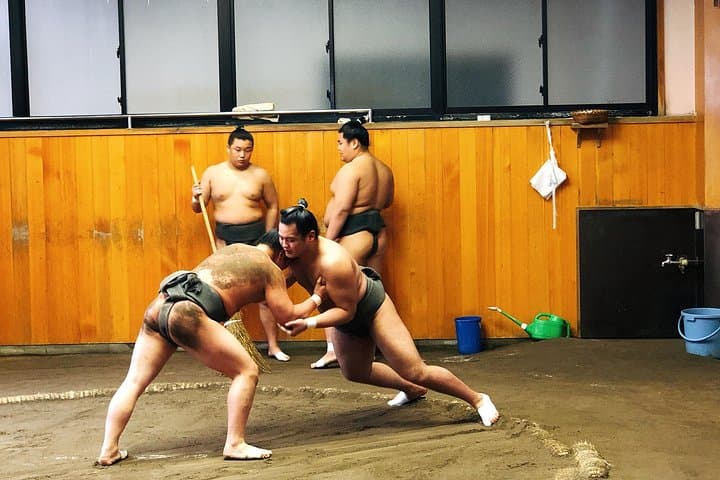 Inside a Tokyo Sumo Stable: Watch Morning Practice and Learn Rituals
