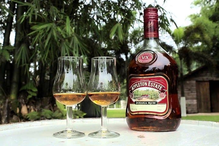 YS Falls and Appleton Estate Combo: Waterfalls, Cane Fields & Rum Tasting from Montego Bay photo 5