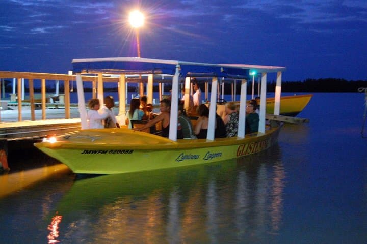 Luminous Lagoon Night Cruise — Glowing Waters Near Montego Bay photo 6