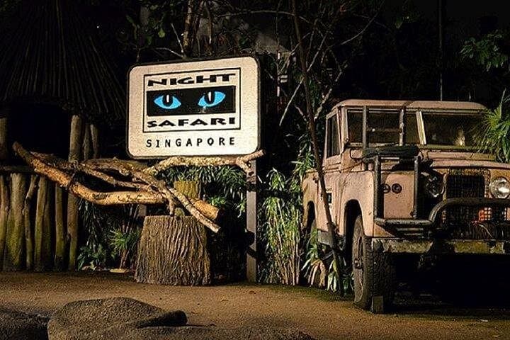 Night Safari Singapore: After-Dark Tram Ride Through 6 Nocturnal Zones photo 1