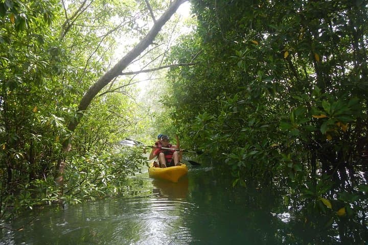 Pulau Ubin Paddle-to-Pedal Day Trip: Kayak, Mangroves & Bike Trails from Singapore