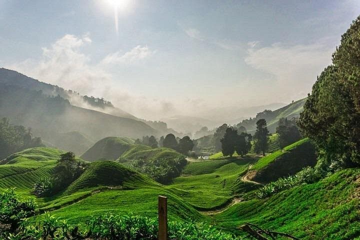 Cameron Highlands Day Trip from Kuala Lumpur — Tea Estates, Waterfalls & Orang Asli Village