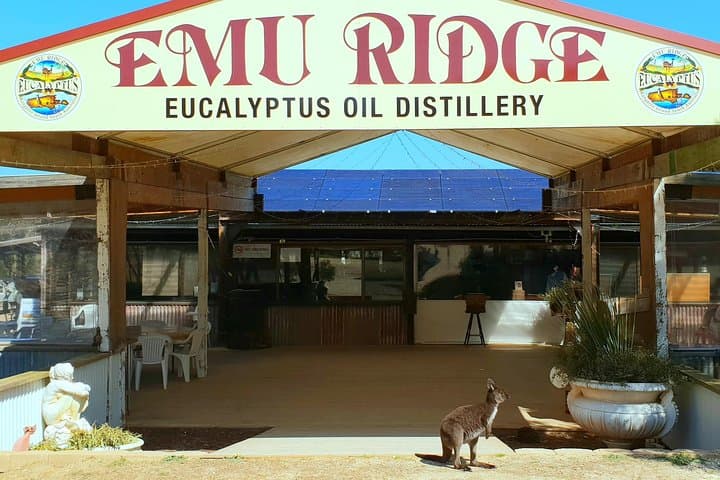 Two-Day Kangaroo Island Wildlife & Wonders Tour with Return Ferry photo 5