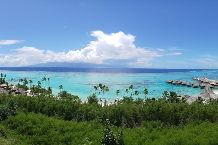Moorea Blue Pearl Private Tour — Belvedere, Bays & Local Shopping