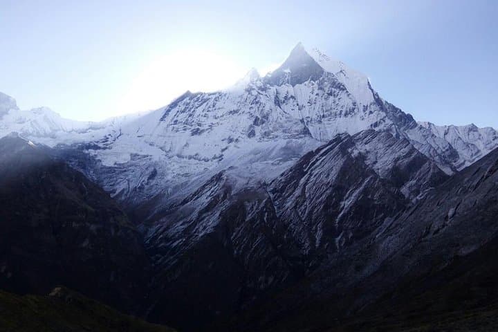 Annapurna Base Camp Trek: Rhododendron Trails to ABC photo 6