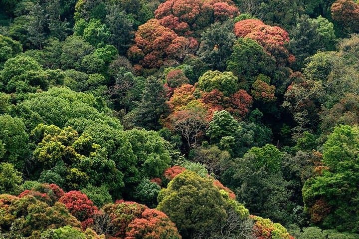 Malampuzha and Nelliyampathy 2-Day Nature Escape from Kochi photo 2