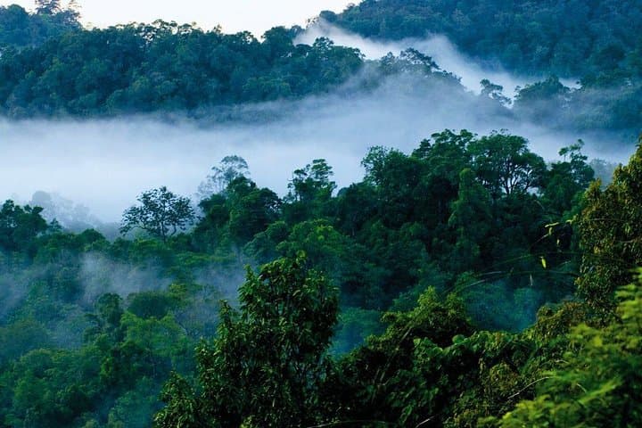 Malampuzha and Nelliyampathy 2-Day Nature Escape from Kochi photo 3