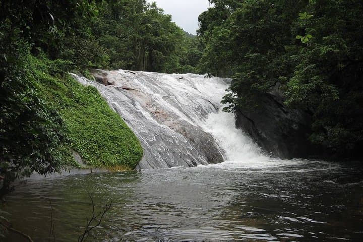 Malampuzha and Nelliyampathy 2-Day Nature Escape from Kochi photo 5