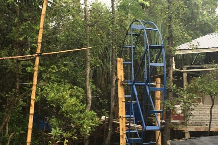 Weston River Cruise: Proboscis Monkeys & Firefly Night Tour near Kota Kinabalu photo 4