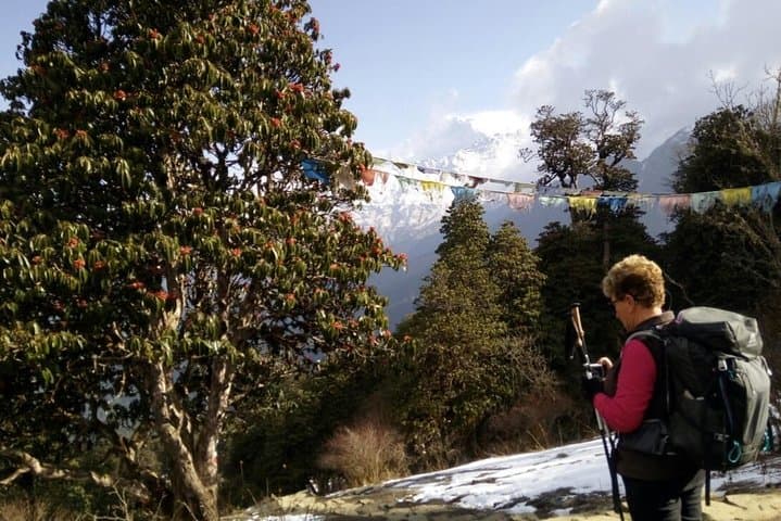 Annapurna Sunrise Trek: Ghorepani Poon Hill Sunrise Hike from Pokhara photo 3