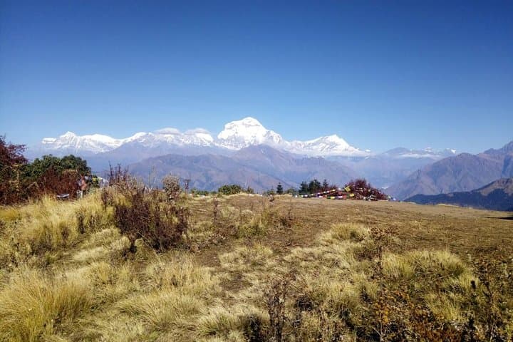 Annapurna Sunrise Trek: Ghorepani Poon Hill Sunrise Hike from Pokhara