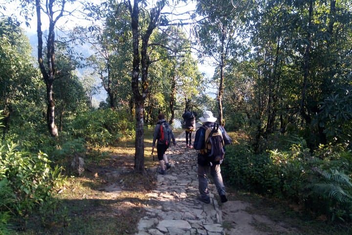Annapurna Sunrise Trek: Ghorepani Poon Hill Sunrise Hike from Pokhara photo 4