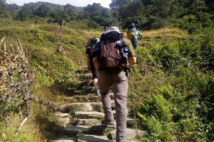 Annapurna Sunrise Trek: Ghorepani Poon Hill Sunrise Hike from Pokhara photo 5