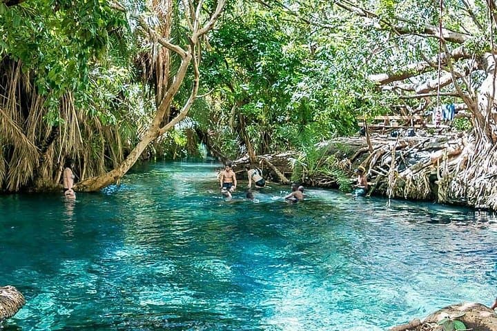 Materuni Waterfalls, Coffee & Kikuletwa Hot Springs — Private Day Trip from Moshi photo 2