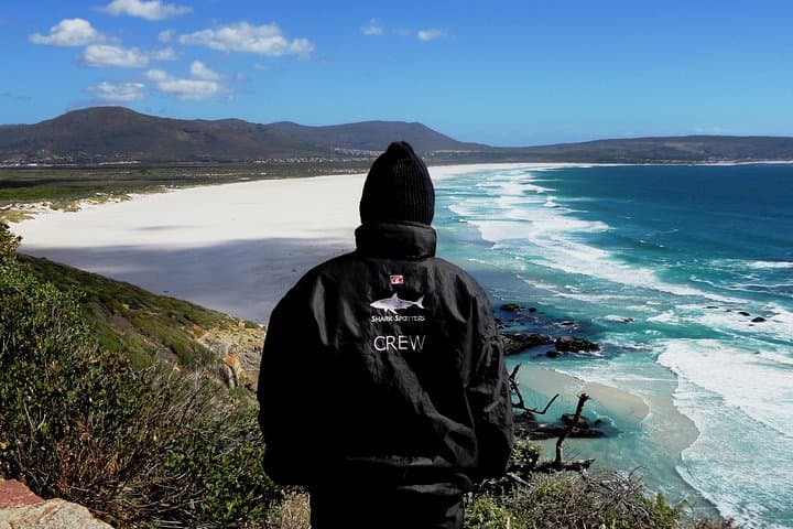 Cape Point & Cape of Good Hope Private Morning Tour — Chapman's Peak, Lighthouse & Penguins photo 5