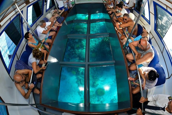Glass-Bottom Boat and Red Sea Snorkeling with Berenice Beach Club Day Pass