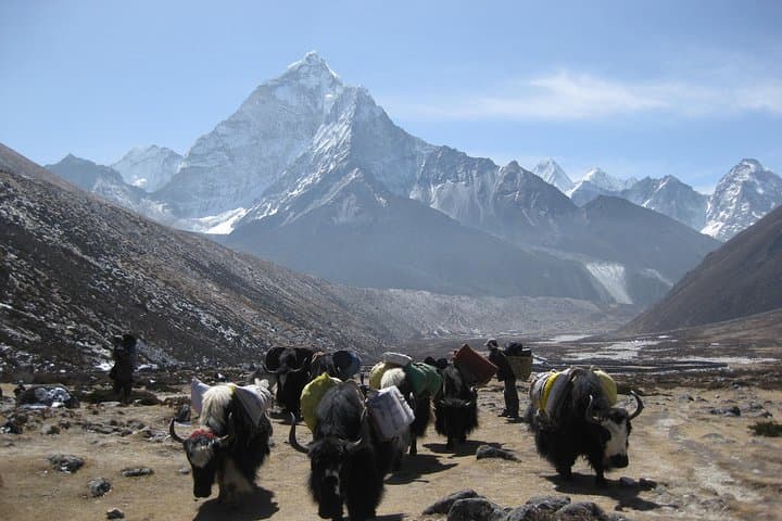 Conquering Everest's Three High Passes: A 16‑Day Khumbu Trek photo 3