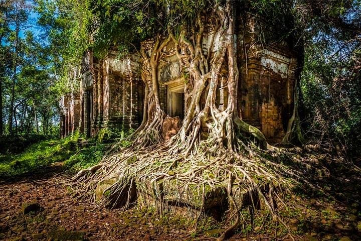 Koh Ker and Beng Mealea Day Tour from Siem Reap: Lost Jungle Temples photo 4