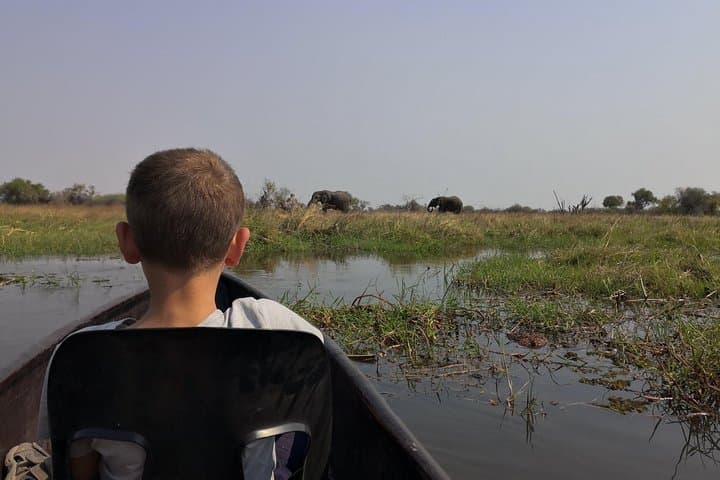 Mokoro Overnight in the Okavango Delta: Canoe Camping Safari from Maun