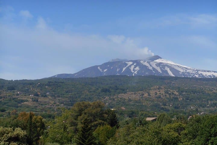 Etna Wine and Local Products: Zafferana Tasting & Walking Tour photo 4