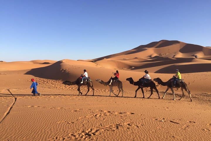Three-Day Sahara Desert Adventure from Marrakech: Camel Trek, Dunes & Kasbahs