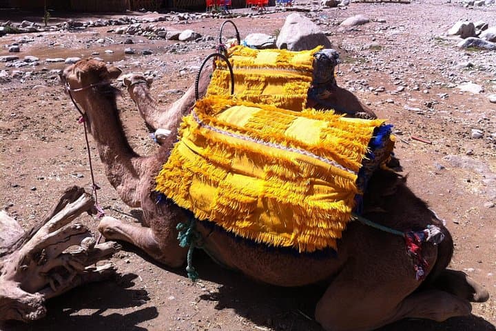 Ourika Valley Private Day Trip from Marrakech — Waterfalls, Berber Villages & Camel Rides photo 3