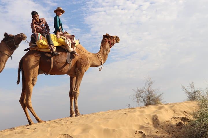 Half-Day Osian Desert Safari: Temples, Camels & Rajasthani Homestay photo 2