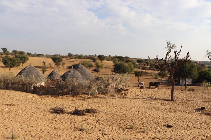 Half-Day Osian Desert Safari: Temples, Camels & Rajasthani Homestay photo 3