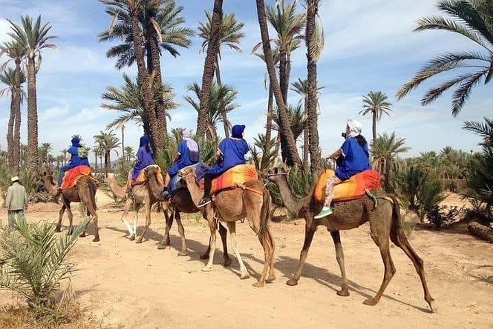 Majorelle Garden & Palmeraie Camel Ride: Half-Day Marrakech Experience photo 2