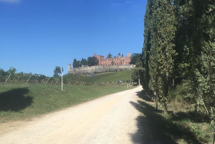 Chianti Classico E-Bike Tour: Wine, Castles, and Rolling Hills photo 4