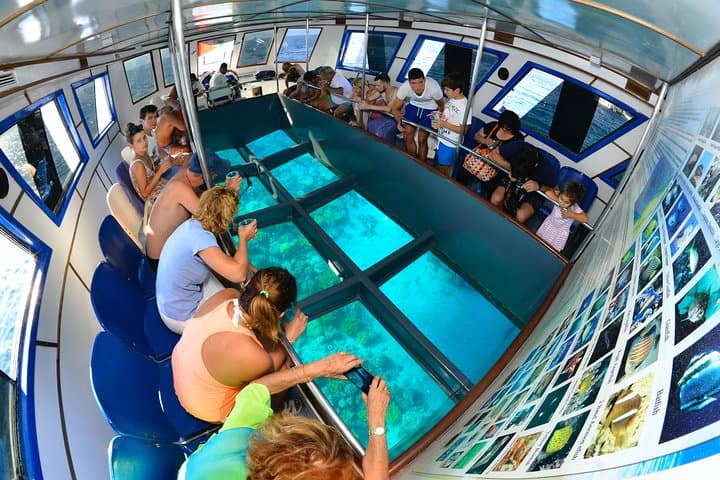 Glass-Bottom Boat and Red Sea Snorkeling with Berenice Beach Club Day Pass photo 4