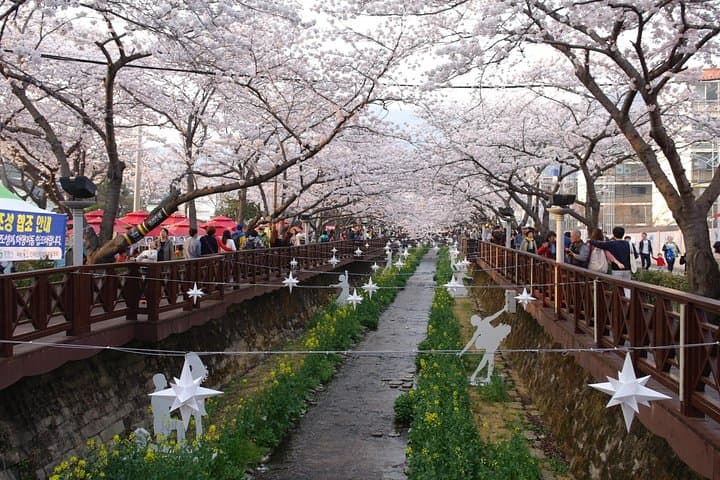 Busan to Jinhae Cherry Blossom Day Tour — Top Spring Sights and Practical Tips photo 6