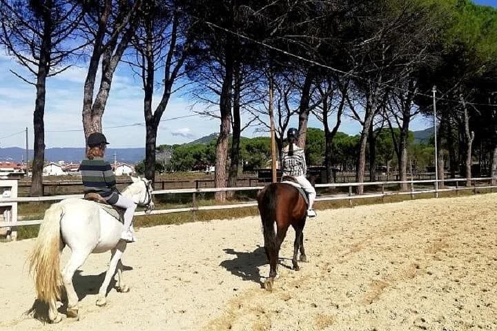 90-Minute Small-Group Horseback Ride Through the Tuscan Countryside near Lucca photo 4